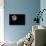 Full Moon Isolated on a Black Sky-Steve Collender-Photographic Print displayed on a wall