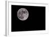 Full Moon Isolated on a Black Sky-Steve Collender-Framed Photographic Print