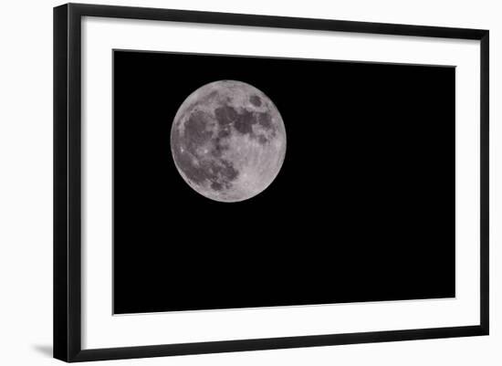 Full Moon Isolated on a Black Sky-Steve Collender-Framed Photographic Print