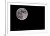 Full Moon Isolated on a Black Sky-Steve Collender-Framed Photographic Print