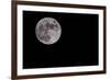 Full Moon Isolated on a Black Sky-Steve Collender-Framed Photographic Print