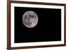 Full Moon Isolated on a Black Sky-Steve Collender-Framed Photographic Print