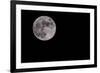 Full Moon Isolated on a Black Sky-Steve Collender-Framed Photographic Print