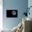 Full Moon Isolated on a Black Sky-Steve Collender-Photographic Print displayed on a wall