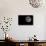 Full Moon Isolated on a Black Sky-Steve Collender-Photographic Print displayed on a wall