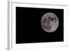 Full Moon Isolated on a Black Sky-Steve Collender-Framed Photographic Print