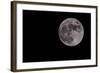 Full Moon Isolated on a Black Sky-Steve Collender-Framed Photographic Print