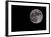 Full Moon Isolated on a Black Sky-Steve Collender-Framed Photographic Print