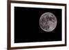 Full Moon Isolated on a Black Sky-Steve Collender-Framed Photographic Print