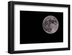 Full Moon Isolated on a Black Sky-Steve Collender-Framed Photographic Print