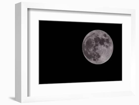 Full Moon Isolated on a Black Sky-Steve Collender-Framed Photographic Print