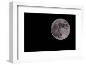 Full Moon Isolated on a Black Sky-Steve Collender-Framed Photographic Print