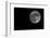 Full Moon Isolated on a Black Sky-Steve Collender-Framed Photographic Print