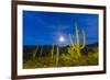 Full moon on saguaro cactus (Carnegiea gigantea), Sweetwater Preserve, Tucson, Arizona, United Stat-Michael Nolan-Framed Photographic Print