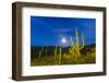 Full moon on saguaro cactus (Carnegiea gigantea), Sweetwater Preserve, Tucson, Arizona, United Stat-Michael Nolan-Framed Photographic Print