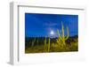 Full moon on saguaro cactus (Carnegiea gigantea), Sweetwater Preserve, Tucson, Arizona, United Stat-Michael Nolan-Framed Photographic Print