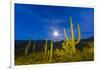 Full moon on saguaro cactus (Carnegiea gigantea), Sweetwater Preserve, Tucson, Arizona, United Stat-Michael Nolan-Framed Photographic Print