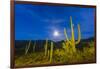 Full moon on saguaro cactus (Carnegiea gigantea), Sweetwater Preserve, Tucson, Arizona, United Stat-Michael Nolan-Framed Photographic Print