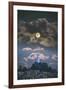 Full Moon Over Coit Tower, San Francisco Iconic Travel-Vincent James-Framed Photographic Print