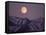 Full Moon over Gates of the Arctic National Park, North Slope of the Brooks Range, Alaska, USA-Steve Kazlowski-Framed Stretched Canvas