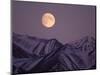 Full Moon over Gates of the Arctic National Park, North Slope of the Brooks Range, Alaska, USA-Steve Kazlowski-Mounted Photographic Print