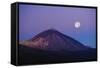 Full Moon over Teide Volcano at Sunrise, Teide Np, Tenerife, Canary Islands, Spain, December 2008-Relanzón-Framed Stretched Canvas