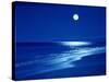 Full Moon Over the Sea-null-Stretched Canvas