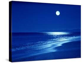 Full Moon Over the Sea-null-Stretched Canvas