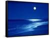 Full Moon Over the Sea-null-Framed Stretched Canvas