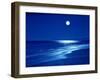 Full Moon Over the Sea-null-Framed Premium Photographic Print