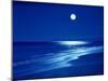 Full Moon Over the Sea-null-Mounted Premium Photographic Print