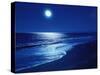 Full Moon Over the Sea-null-Stretched Canvas