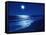 Full Moon Over the Sea-null-Framed Stretched Canvas