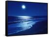 Full Moon Over the Sea-null-Framed Stretched Canvas