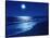 Full Moon Over the Sea-null-Stretched Canvas