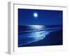 Full Moon Over the Sea-null-Framed Premium Photographic Print