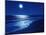 Full Moon Over the Sea-null-Mounted Premium Photographic Print
