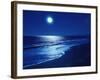 Full Moon Over the Sea-null-Framed Premium Photographic Print