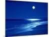 Full Moon Over the Sea-null-Mounted Photographic Print