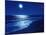 Full Moon Over the Sea-null-Mounted Photographic Print