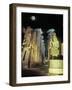 Full Moon Over The Temple at Karnak, Luxor, Egypt-Janis Miglavs-Framed Photographic Print