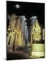 Full Moon Over The Temple at Karnak, Luxor, Egypt-Janis Miglavs-Mounted Photographic Print