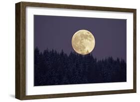 Full Moon Rising Above Forest in Winter-null-Framed Photographic Print