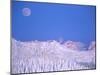 Full Moon Rising Above Glacier National Park Peaks, Whitefish, Montana, USA-Chuck Haney-Mounted Photographic Print