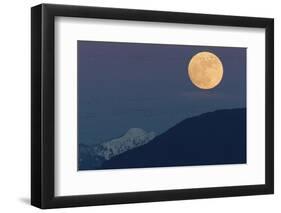 Full moon rising, migrating Snow Geese-Ken Archer-Framed Photographic Print