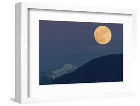 Full moon rising, migrating Snow Geese-Ken Archer-Framed Photographic Print