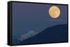 Full moon rising, migrating Snow Geese-Ken Archer-Framed Stretched Canvas