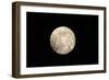 Full Moon Rising over a Forest-null-Framed Photographic Print