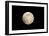 Full Moon Rising over a Forest-null-Framed Photographic Print