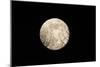 Full Moon Rising over a Forest-null-Mounted Photographic Print